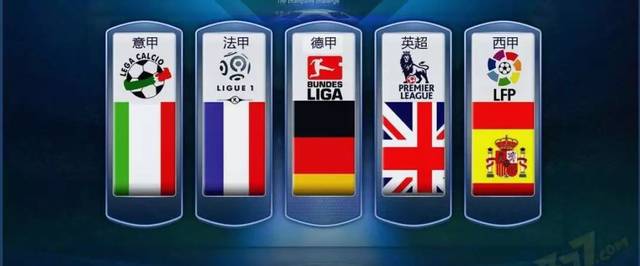 leisu