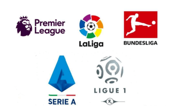leisu